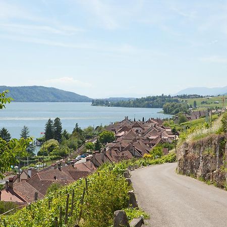 Alpes Et Lac La Neuveville Esterno foto