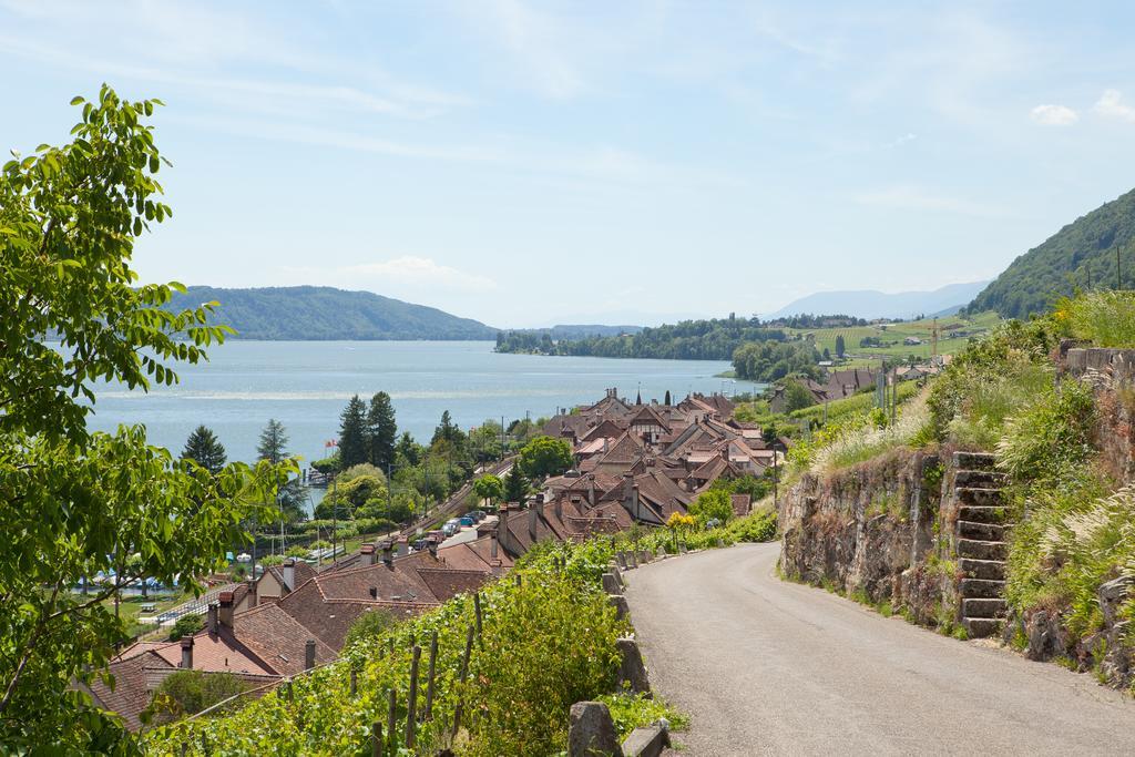 Alpes Et Lac La Neuveville Esterno foto